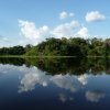 Amazon Jungle Tour-Viaje de Supervivencia para un real aventurero