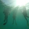 Las Tacas Dive Ressort-Aprende a bucear en aguas confinadas