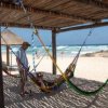 Cozumel Bar Hop-Que siga la fiesta con el Bar Hop Tour de Cozumel