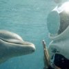 Sea Trek-Explora las maravillas de la vida submarina sin mojar un centímetro de tu cabeza...