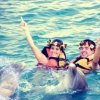Dolphin Discovery-Nada, juega y asombrate mientras interactúas con amigables delfines
