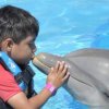 Dolphin Discovery-Nada, juega y asombrate mientras interactúas con amigables delfines