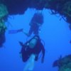 Pancho Diving Adventures-Buceo y Snorkel en El Gran Arrecife Maya