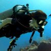 Blue Project Dive Shop-Estudia la vida marina de Cozumel en un viaje de buceo