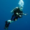 Blue Magic Scuba-Conoce la vida acuática, buceando con Blue Magic