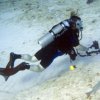Blue Magic Scuba-Conoce la vida acuática, buceando con Blue Magic