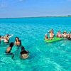 Tigers Adventures-Disfruta de un divertido tour de snorkel en la Riviera Maya, Cozumel