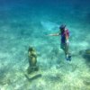 Cozumel Pearl Farm-Visita una Granja de Perlas en Cozumel