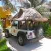 Two D's Diving And Tour Adventures-Conoce Cozumel en un Jeep Tour