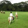 Discovery Horseback Riding Tours-Paseo a Caballo en Jaco, Costa Rica