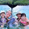 Anthony`s  Key Resort-Nadar y Snorkel con los Delfines