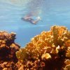 Cozumel Pearl Farm-Visita una Granja de Perlas en Cozumel