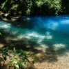 Tierra Verde Aventuras- Crucero de un día a la Isla Tortuga