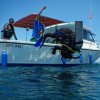 Deep Blue Diving-Excursiones de Buceo únicas en Playas del Coco, Costa Rica