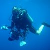Deep Blue Diving-Excursiones de Buceo únicas en Playas del Coco, Costa Rica