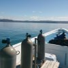 Deep Blue Diving-Excursiones de Buceo únicas en Playas del Coco, Costa Rica