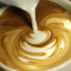Hansa Tours-Cata de Café en Bogota