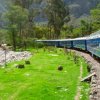 Alpaca Expeditions -Tour de 2 Días a Machupicchu por Tren