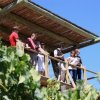 Uncorked Wine Tours-Tour de vino en el Valle de Cochagua