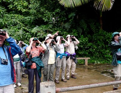 Wildside Nature Tours-Explora por 5 Días el hábitat de Aves Puertoriqueñas 