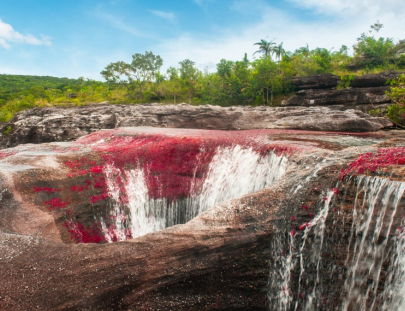Caño Cristales El Rio De Los Cinco Colores-Expedición de dos dias al Rio de Cinco Colores