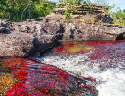 Caño Cristales El Rio De Los Cinco Colores-Expedición de dos dias al Rio de Cinco Colores