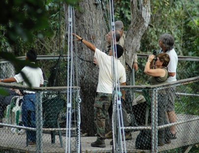 Iwokrama Canopy Walkway- Observacion de aves desde el Canopy Walkway en la selva Iwokrama