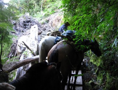 Cabalgatas Cachamó-Expedicion a caballo por el Valle Cochamo