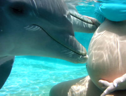 Waterland-Nada  con delfines en Waterland