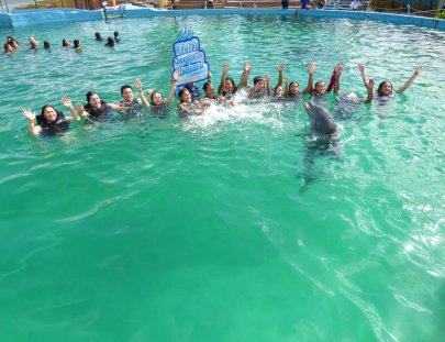 Waterland-Nada  con delfines en Waterland
