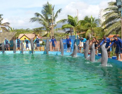 Waterland-Nada  con delfines en Waterland