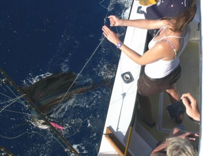 True Blue Sport Fishing-Pesca del pez Vela en  Granada