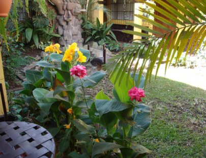 Hotel Camelias Inn-Gran pequeño hotel ubicado en el corazón de la Antigua Guatemala