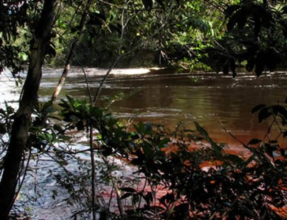 Excursión en lancha a la catarata más alta del mundo - Bernal Tours C.A. Venezuela