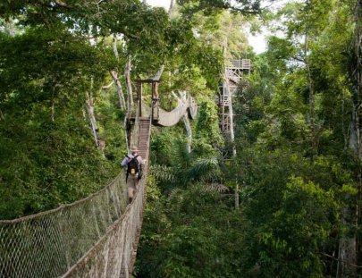 Inkaterra-Caminar por un canopy walkway por la selva tropical