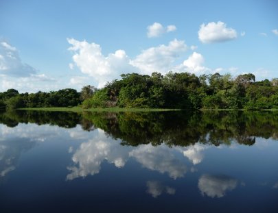 Amazon Jungle Tour-Viaje de Supervivencia para un real aventurero