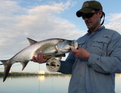 Go Tarpon Pr-Un viaje de Pesca de sábalo lleno de acción y aventura