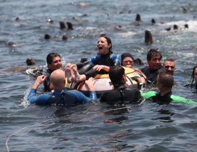 Mar Abierto Excursiones-Nadando con Lobos Marinos
