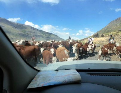 Holiday Rent Rv-Aventura sobre las carreteras del norte de Chile y Argentina