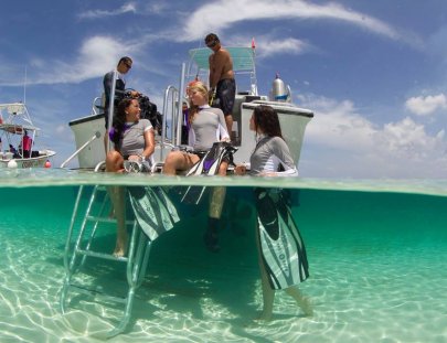 Buceo Introductorio en los hermosos corales de Guaynabo - Scuba Dogs