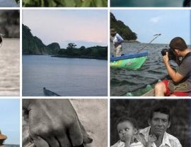 Taller de fotografia fascinante sobre tortugas marinas - Tortuga Photo workshop