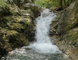 Canopy River-Vive la aventura de hacer canopy con paisajes diferentes en puerto vallarta 