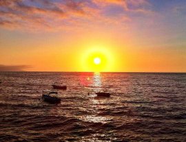 Canopy River-Vive la aventura de hacer canopy con paisajes diferentes en puerto vallarta 