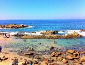 Canopy River-Vive la aventura de hacer canopy con paisajes diferentes en puerto vallarta 