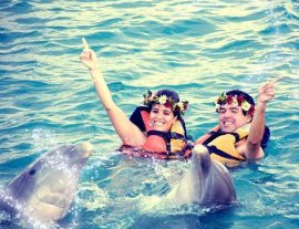 Dolphin Discovery-Nada, juega y asombrate mientras interactúas con amigables delfines