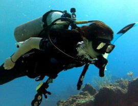 Blue Project Dive Shop-Estudia la vida marina de Cozumel en un viaje de buceo