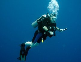 Blue Magic Scuba-Conoce la vida acuática, buceando con Blue Magic