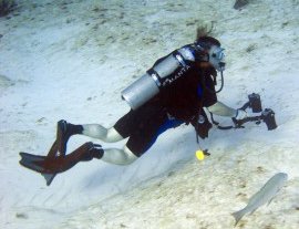 Blue Magic Scuba-Conoce la vida acuática, buceando con Blue Magic