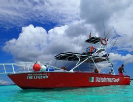 Disfruta de un divertido tour de snorkel en la Riviera Maya, Cozumel - Tigers Adventures