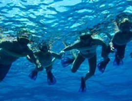 Tigers Adventures-Disfruta de un divertido tour de snorkel en la Riviera Maya, Cozumel